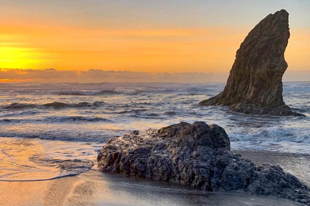 Sand Dollar Shore Fort Bragg Ngoại thất bức ảnh